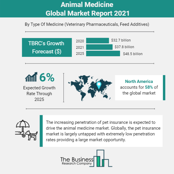 5 Animal Medicine Market Trend-Based Strategies for Industry Players to